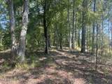  Co Road 2428 - Photo 4