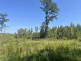  Co Road 2428 - Photo 6