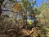 0 Highway 16 - Photo 10