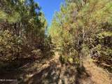 0 Highway 16 - Photo 14