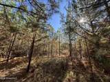 0 Highway 16 - Photo 20