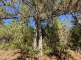 0 Highway 16 - Photo 25