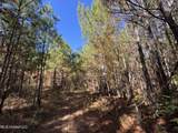 0 Highway 16 - Photo 26