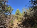 0 Highway 16 - Photo 35