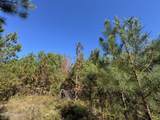 0 Highway 16 - Photo 45