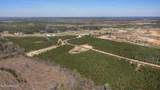 737 Freedom Ridge Lane - Photo 3