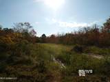 Nhn Bayou View Drive - Photo 5