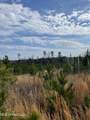 Co Rd 419 - Photo 10