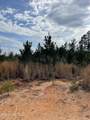  Co Rd 419 - Photo 11