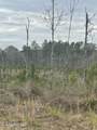  Co Rd 419 - Photo 2