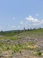  Hendrix/Pine Grove Road - Photo 10