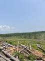  Hendrix/Pine Grove Road - Photo 11