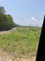  Hendrix/Pine Grove Road - Photo 17