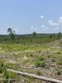  Hendrix/Pine Grove Road - Photo 5