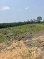  Hendrix/Pine Grove Road - Photo 7
