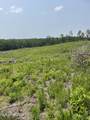  Hendrix/Pine Grove Road - Photo 8