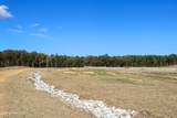 Tract 8 Hugh White State Park Road - Photo 2