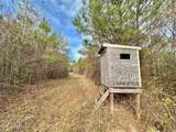 0 County Road 3122 - Photo 10