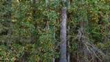  Old Pinola Braxton Road - Photo 11