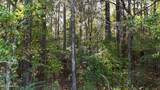  Old Pinola Braxton Road - Photo 6