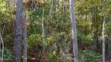  Old Pinola Braxton Road - Photo 9