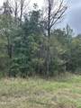 Tbd Old Fannin Road - Photo 11