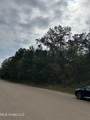Tbd Old Fannin Road - Photo 3