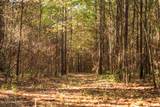  Lake View Golf Course Road - Photo 3