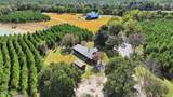 4240 Jana Lane - Photo 185