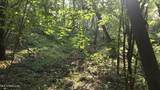 00 Nelson Corner Road - Photo 11