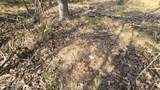 00 Nelson Corner Road - Photo 41