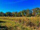  Darbun China Grove Road - Photo 10