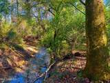  Darbun China Grove Road - Photo 12