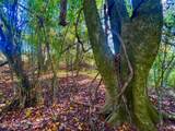  Darbun China Grove Road - Photo 16