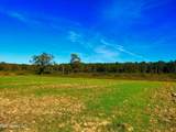  Darbun China Grove Road - Photo 3