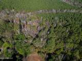 Les Harwell Road - Photo 12
