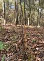  Les Harwell Road - Photo 17