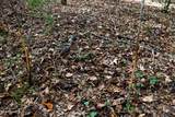  Les Harwell Road - Photo 7