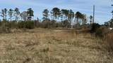 01 Norris-Homewood Road - Photo 6