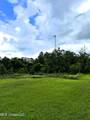 26.1 Acres Brinkman Road - Photo 10