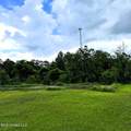 26.1 Acres Brinkman Road - Photo 11
