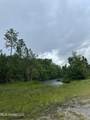 26.1 Acres Brinkman Road - Photo 9