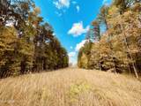  Ms Highway 12 - Photo 17