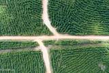 010 Attala Road - Photo 1
