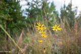 010 Attala Road - Photo 7