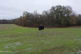 2000 Walnut Lake Road - Photo 4