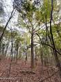 000 Elarton Road - Photo 1