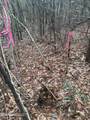 000 Elarton Road - Photo 10