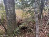 000 Elarton Road - Photo 14