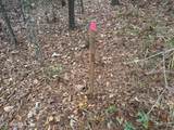 000 Elarton Road - Photo 15